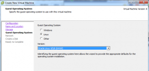 Membuat Virtual Machine dan Instalasi Guest OS Menggunakan vSphere Client4